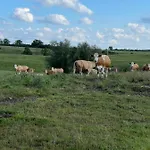 Apartmán Naturnahes, Neu Moebl.apartment, Hundefreundlich Neu Gaarz