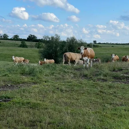 Апартаменты Naturnahes, Neu Moebl.apartment, Hundefreundlich Neu Gaarz