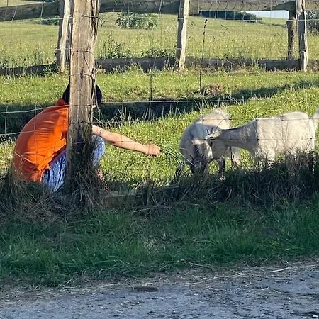 Naturnahes, Neu Moebl.apartment, Hundefreundlich