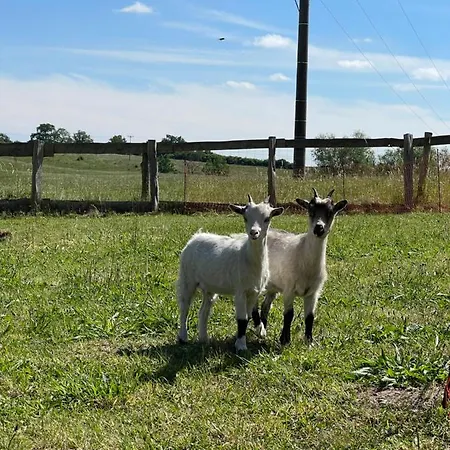 Naturnahes, Neu Moebl.apartment, Hundefreundlich *