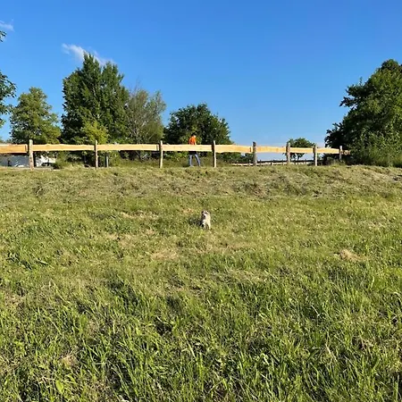 דירה Naturnahes, Neu Moebl.apartment, Hundefreundlich