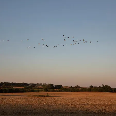 Naturnahes, Neu Moebl.apartment, Hundefreundlich * Neu Gaarz