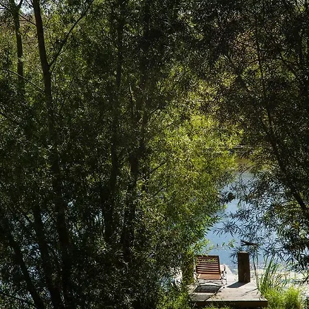 Naturnahes, Neu Moebl.apartment, Hundefreundlich Appartement