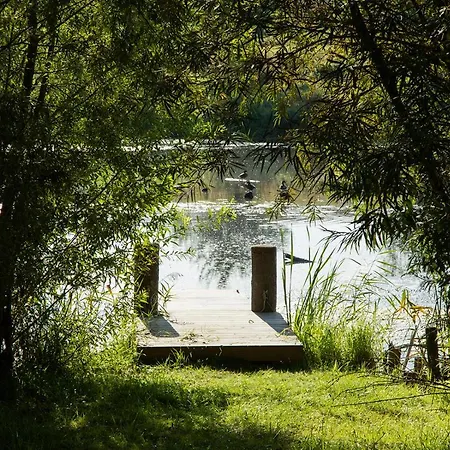 Naturnahes, Neu Moebl.apartment, Hundefreundlich *