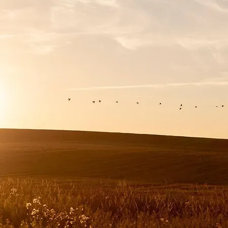 Naturnahes, Neu Moebl.apartment, Hundefreundlich Neu Gaarz