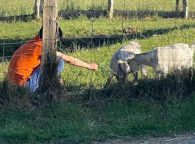 Naturnahes, Neu Moebl.apartment, Hundefreundlich