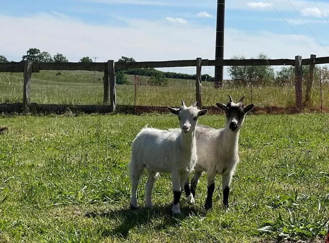 Naturnahes, Neu Moebl.apartment, Hundefreundlich *