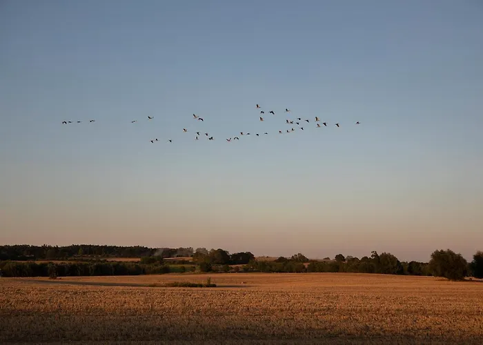 Naturnahes, Neu Moebl.apartment, Hundefreundlich * Neu Gaarz