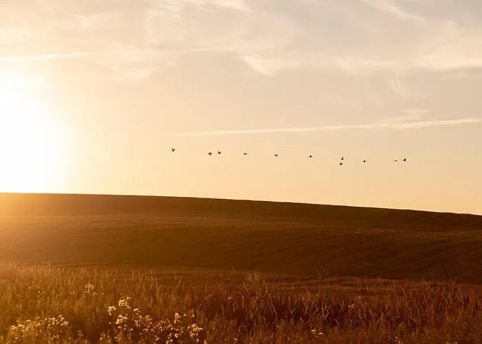 Naturnahes, Neu Moebl.apartment, Hundefreundlich Neu Gaarz